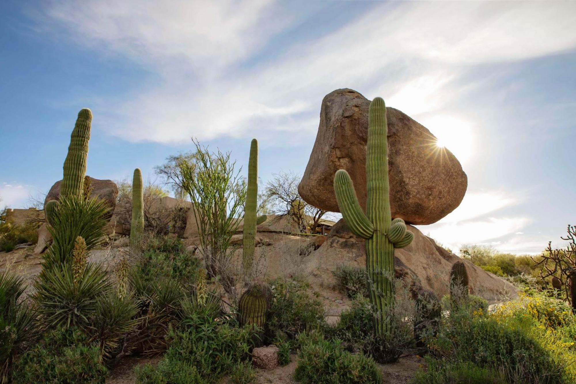 Boulders Resort & Spa Scottsdale, Curio Collection By Hilton Dış mekan fotoğraf